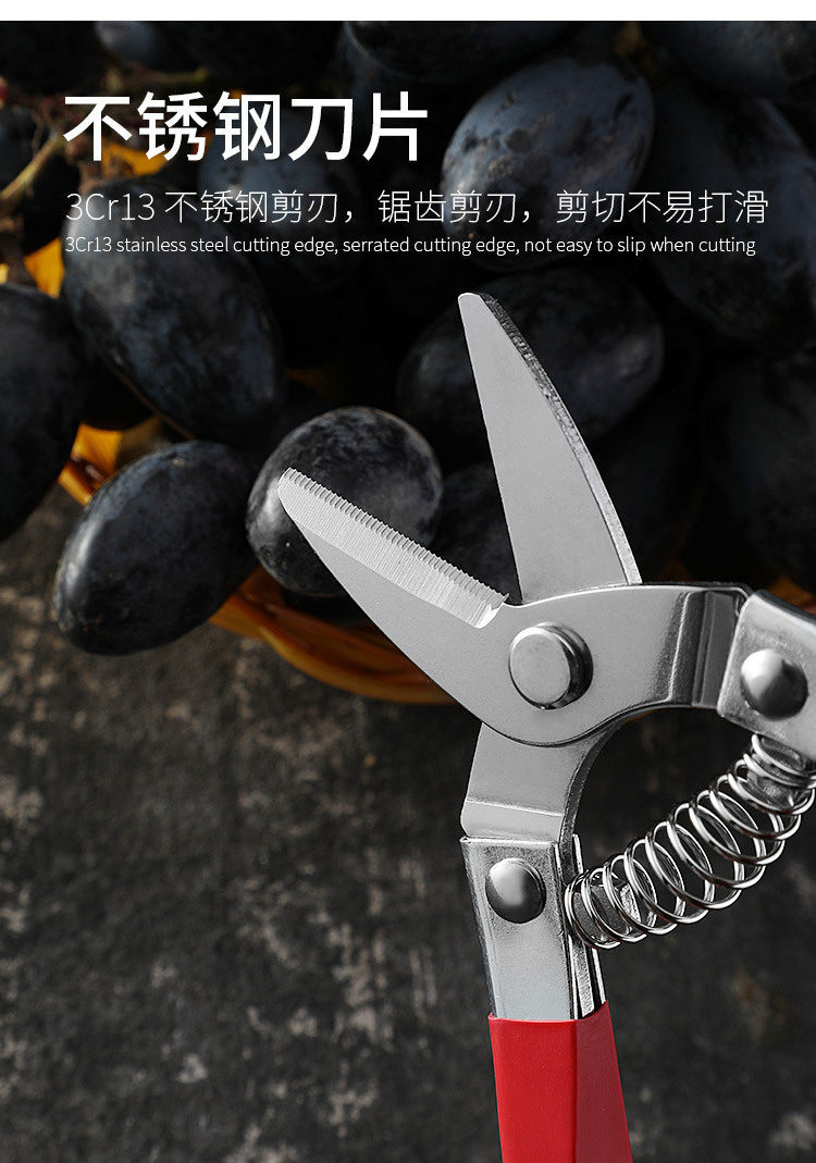 新款葡萄水果剪刀稀果摘果剪盆景修枝园艺园林果剪树枝剪果树采果