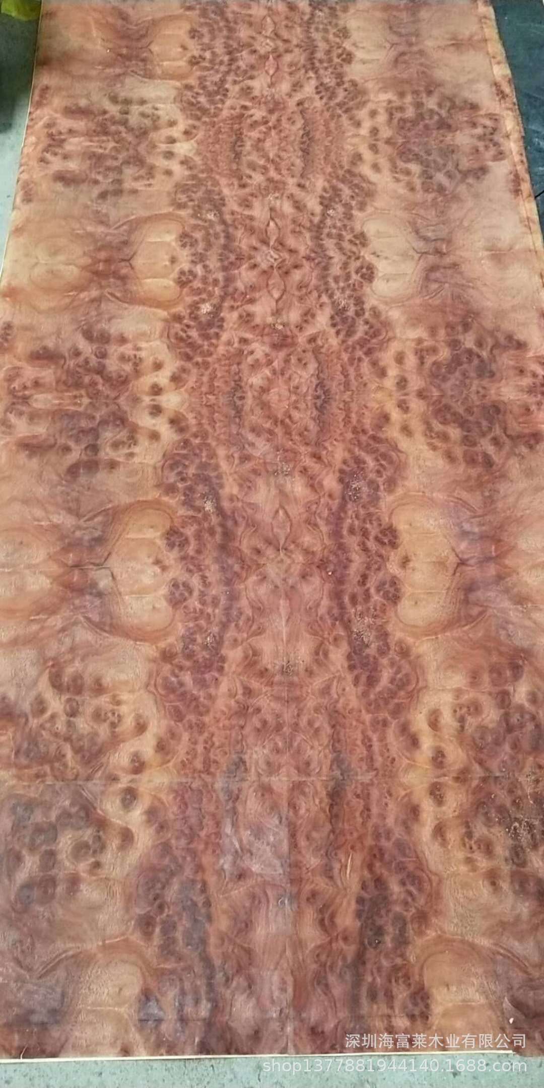 红花樟树瘤 山香果树瘤 白杨树瘤木皮 白栓树瘤木皮 橄榄树瘤木皮