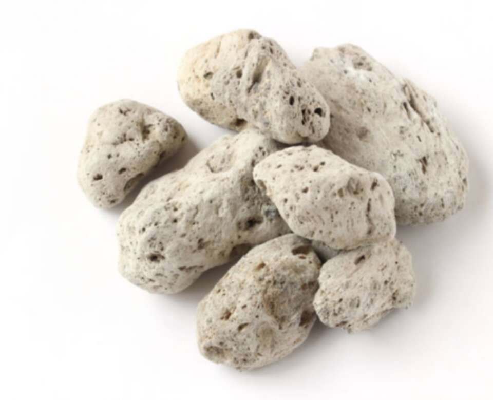 海浮石振兴药材批发供应供应海浮石 浮海石 产地批发