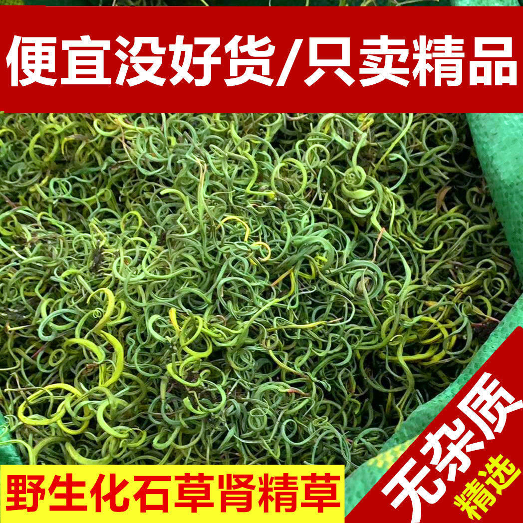 草云南溶石肾精茶茶排石肾精草新货草茶
