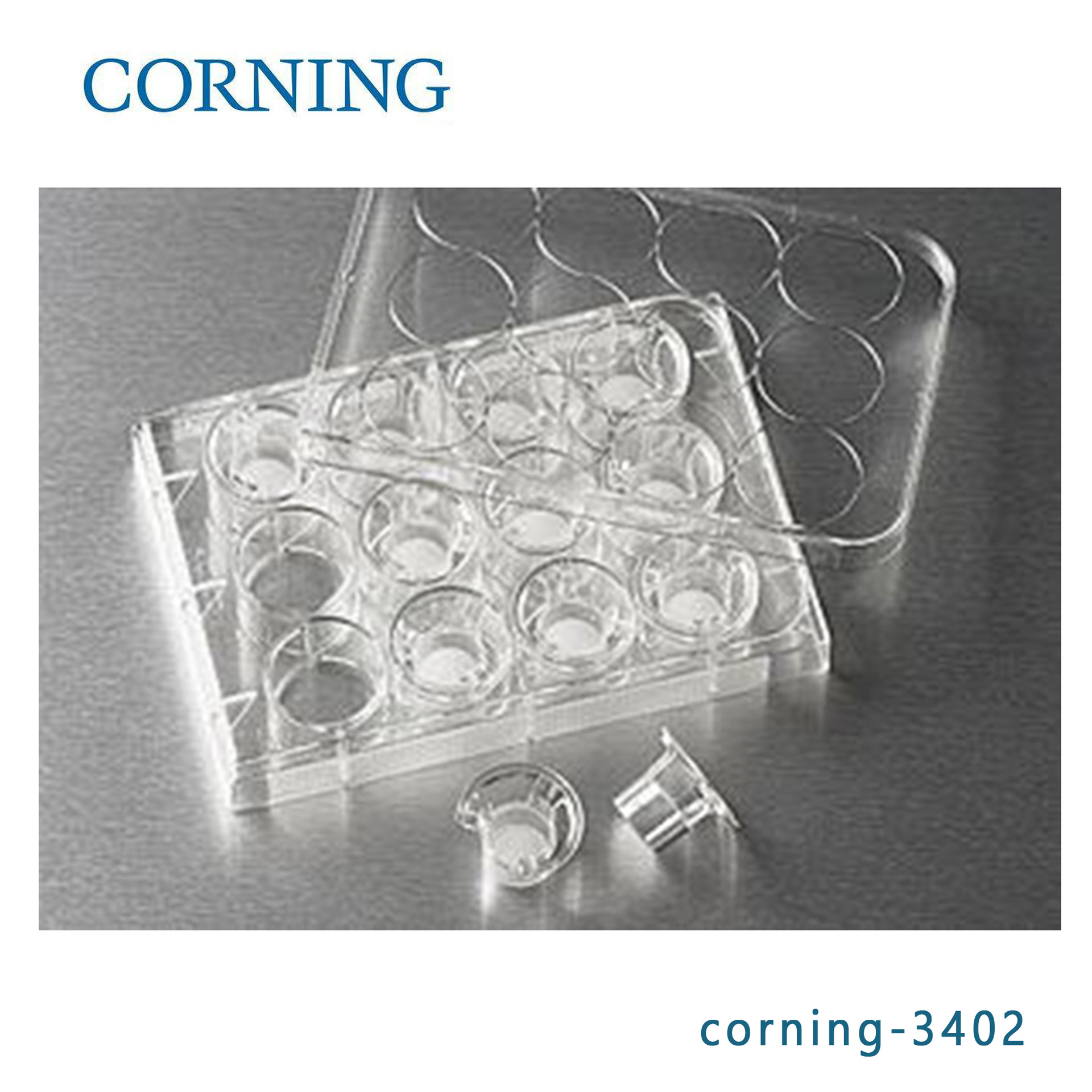康宁corning3402transwell嵌套 (带聚碳酸脂膜12mm 3.0um)12个/板