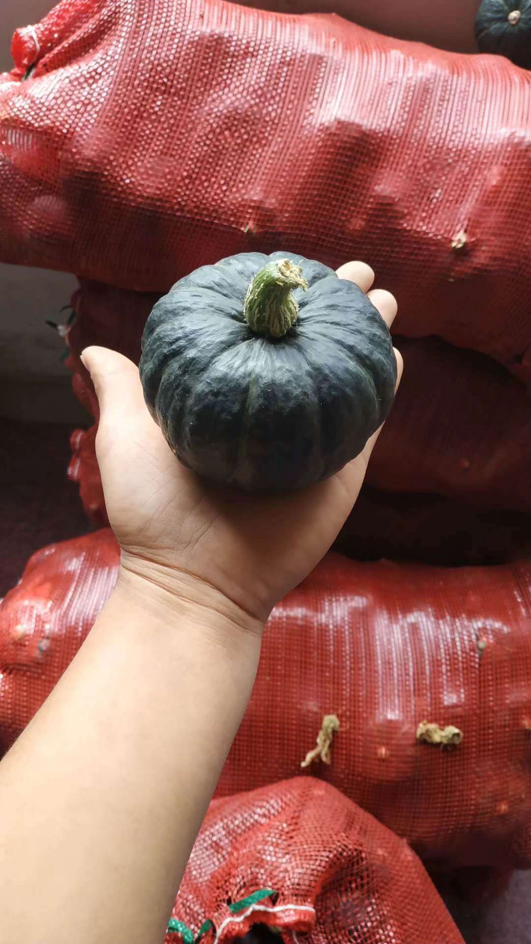 贝贝南瓜板栗味贝贝小南瓜栗面日本品种老瓜蔬菜新鲜5斤一件代发