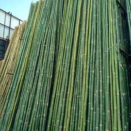 精选建筑工地竹排 建筑跳板 竹排脚手架 竹架板脚踏板外架桥梁3米