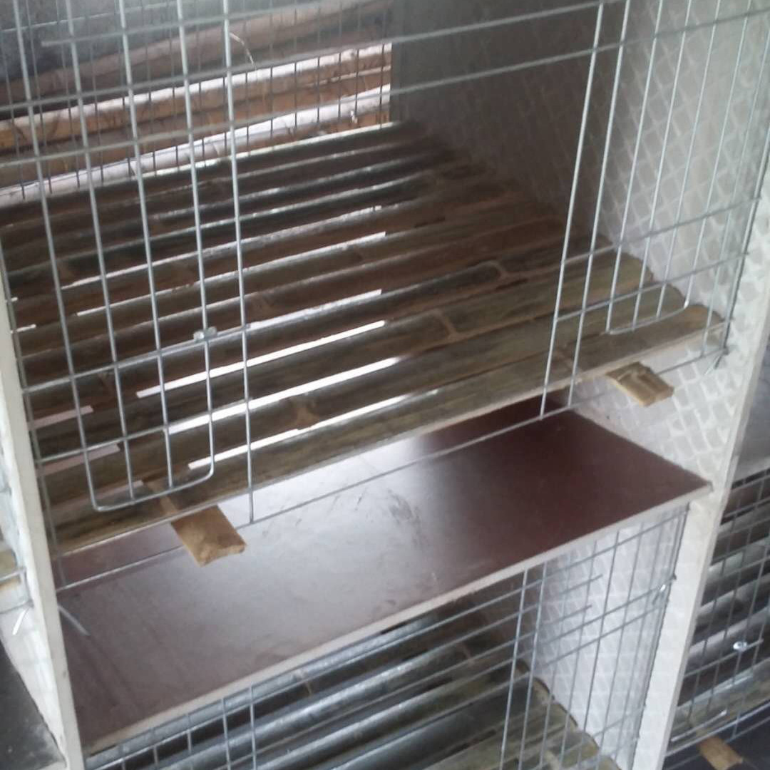 量大 易于清理瓷砖兔笼子母笼 养殖场用瓷砖兔笼子母笼