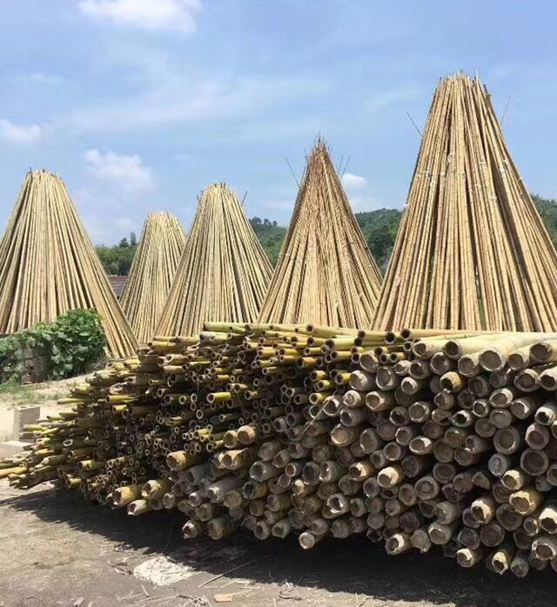 安吉厂家 毛竹子竹条建筑温室大棚菜架长竹竿农业搭架竹杆3米批发