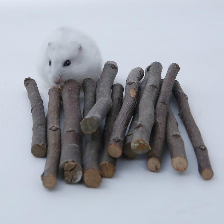 仓鼠磨牙棒金丝熊磨牙苹果枝磨牙甜竹零食荷兰猪龙猫用品