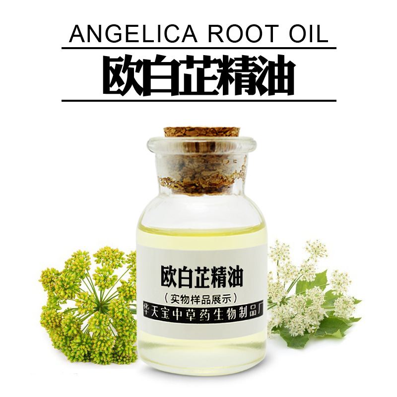 欧白芷精油 欧白芷根精油 angelica root 洋当归天然单方精油厂家