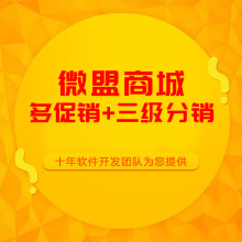 微盟微商城系统开发分销后台搭建授权系统 微官网微平台建站