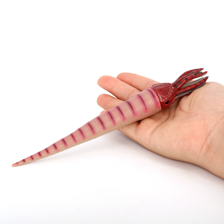 仿真海洋生物海底动物模型儿童认知玩具远古生物直角石鹦鹉螺摆件