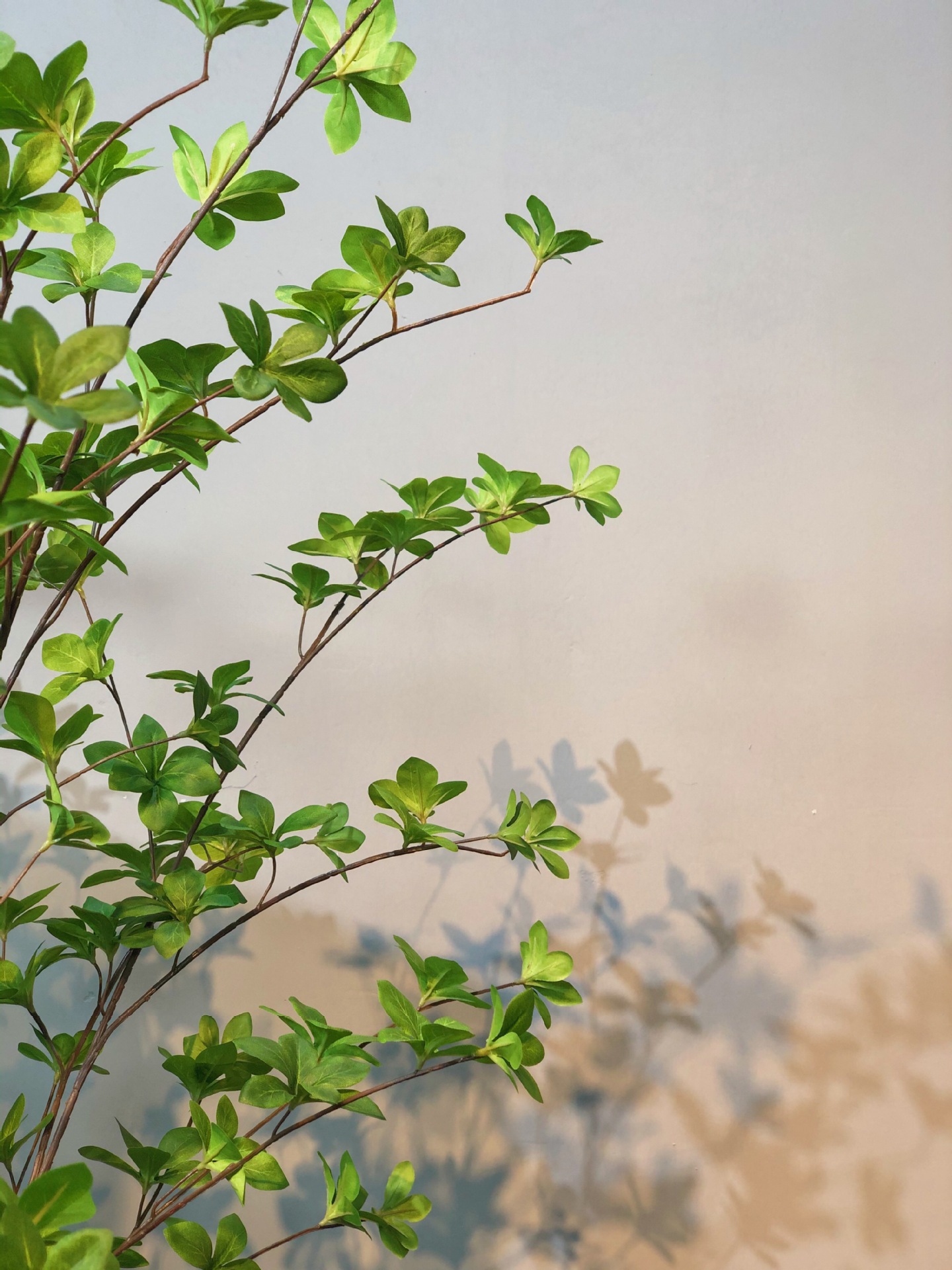 爆款ins仿真日本吊钟树多瓣叶树橱窗装饰假树客厅落地大盆栽摆件