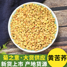 黄苦荞散装批发 膨化颗粒全株黄苦荞 500g黄苦荞大粒花草茶批发