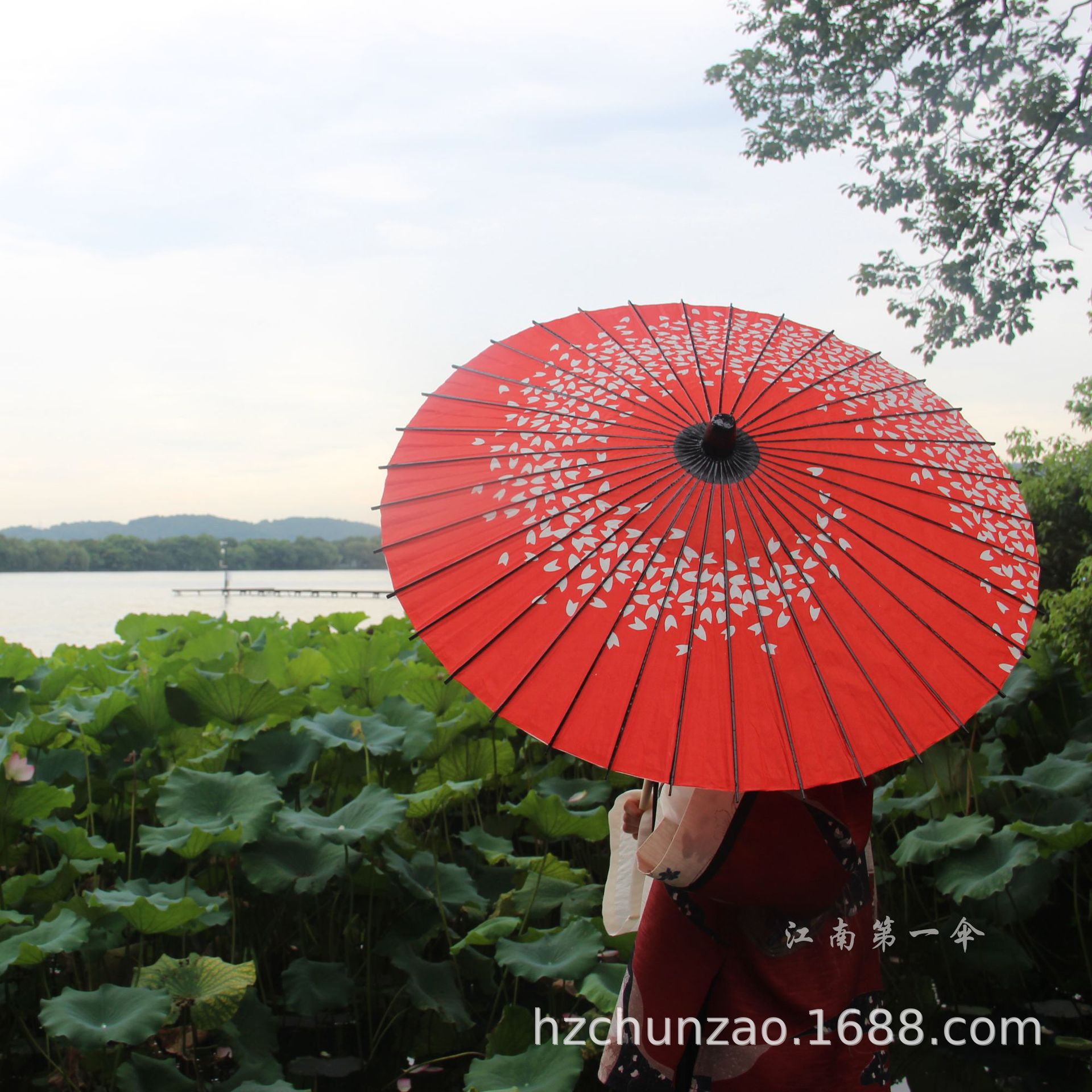 杭州春早汉服古风油纸伞日式樱花伞长柄伞舞蹈摄影婚庆道具装饰伞