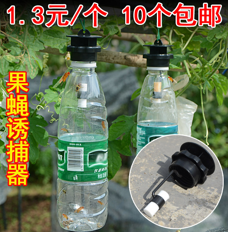 果蝇诱捕器果实蝇捕抓捉容器瓜果蔬菜花卉防虫诱虫性诱剂药水针蜂