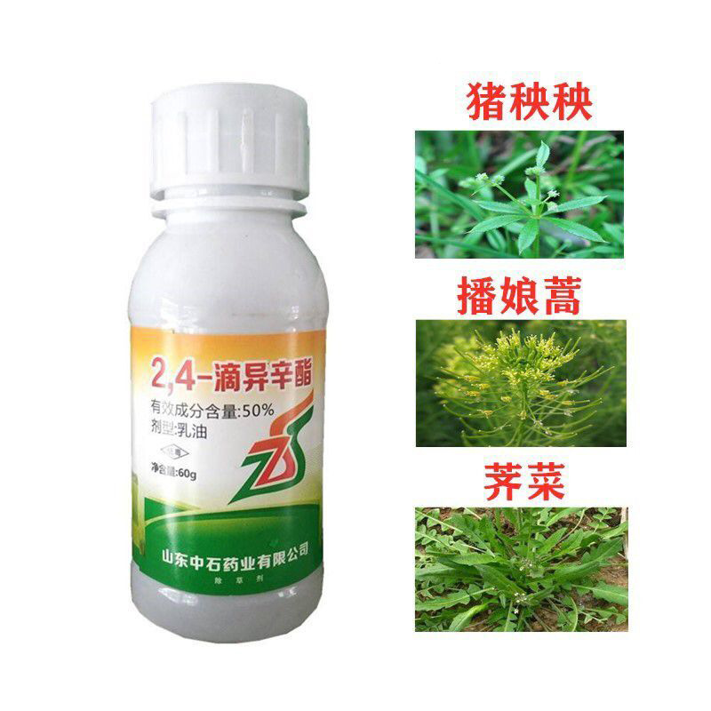 50%2.4滴异辛酯除草剂小麦田阔叶除草剂播娘蒿猪秧秧荠菜60包邮