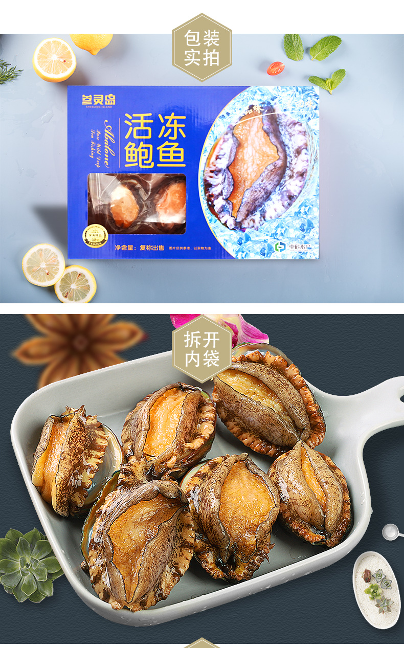 活冻鲍鱼冰冷冻水产大连厂家批发獐子港中科水产新鲜鲍螺海鲜冻品