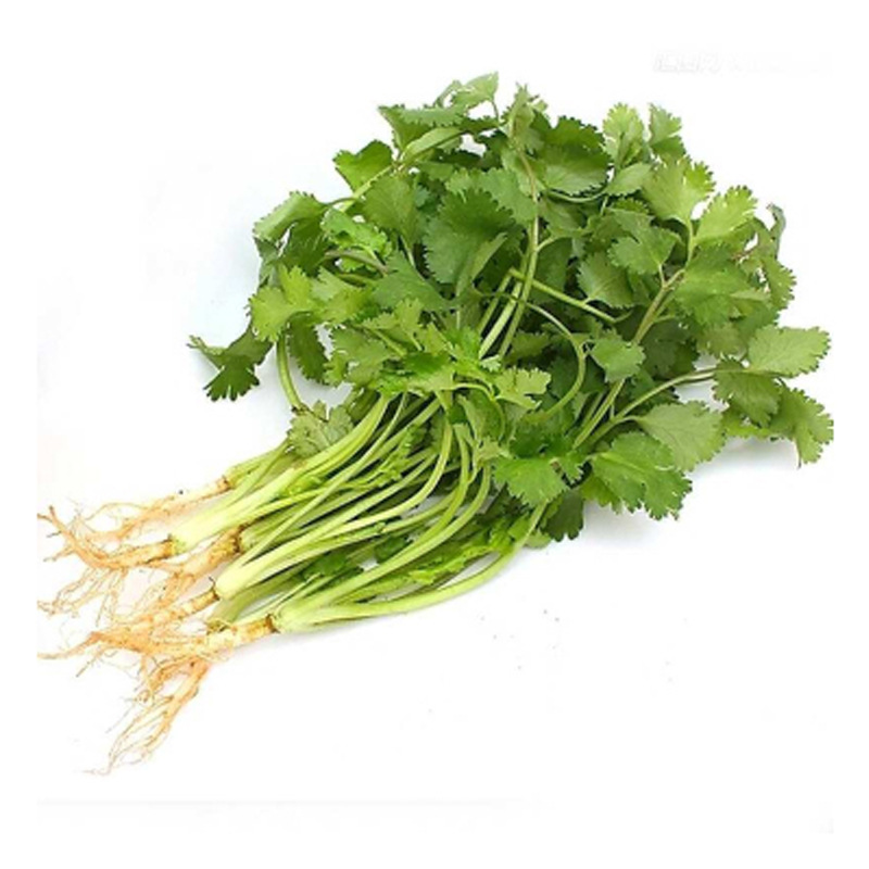 带箱4斤可包邮 老香菜新鲜蔬菜农家种植调味火锅菜芫荽现挖现发批