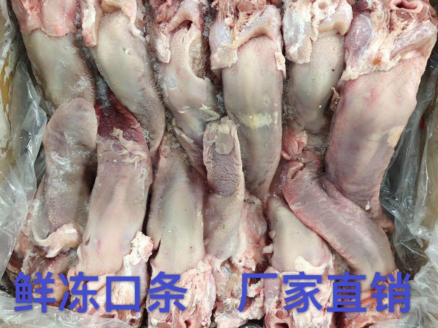 厂家直销新鲜冷冻猪口条猪舌头小根猪舌头猪口条带根整箱20斤