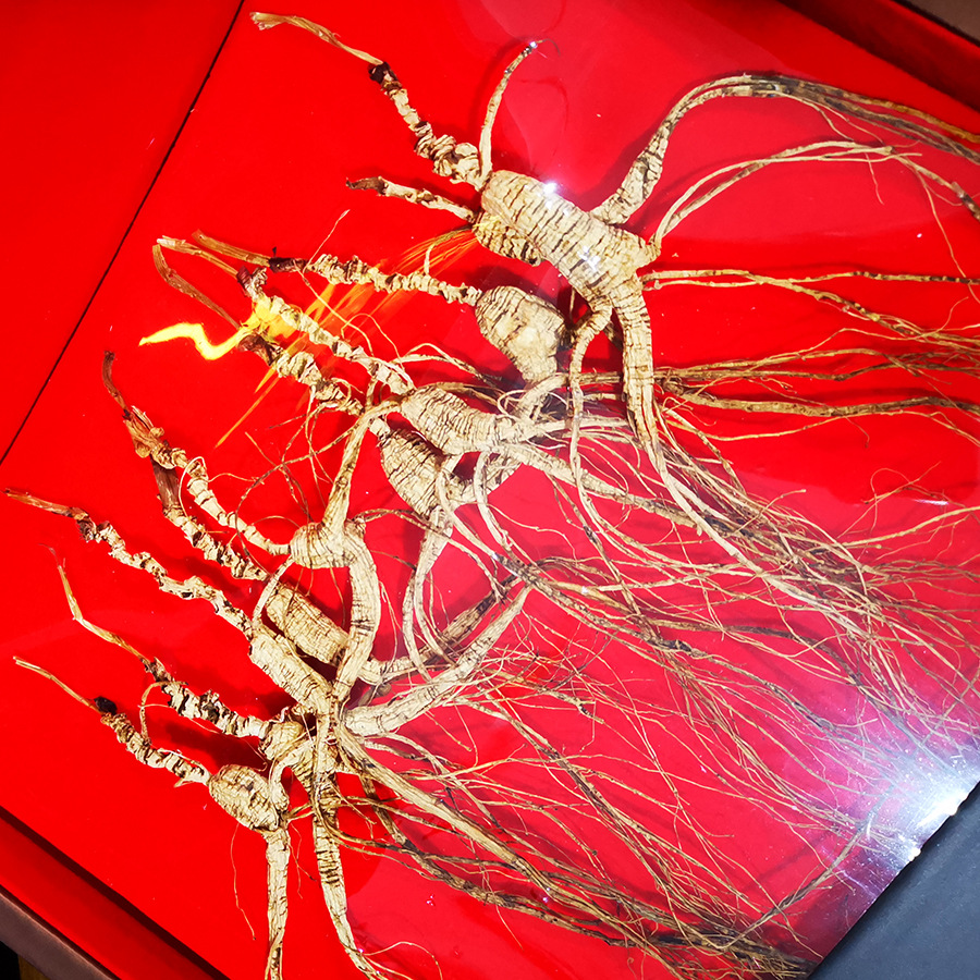 长白山野山参泡酒林下参移山参年货新年礼品人参礼盒一手货源直供