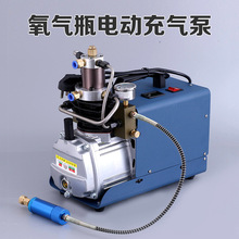 潜水氧气瓶呼吸专用高压电动打气泵30mpa/4500psi 水冷小型充气泵
