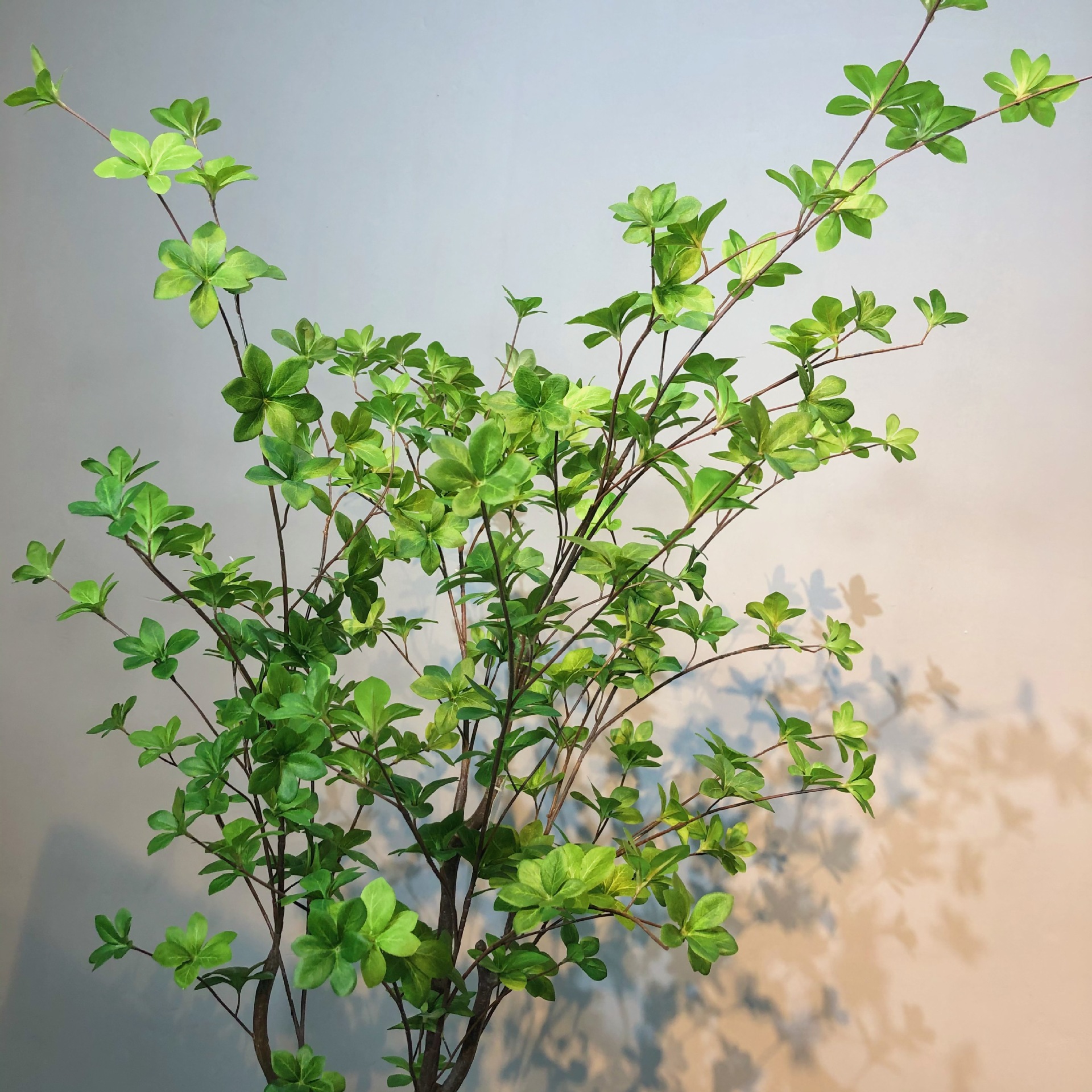 爆款ins仿真日本吊钟树多瓣叶树橱窗装饰假树客厅落地大盆栽摆件