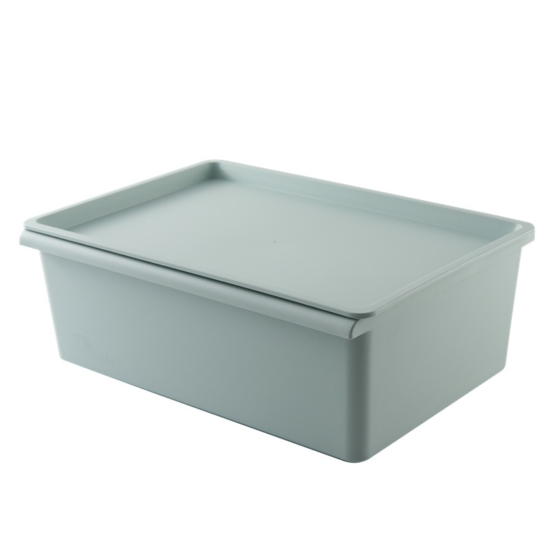 Laminated Storage Box with Lid Plastic Storage Box Storage Box 0217 0216
