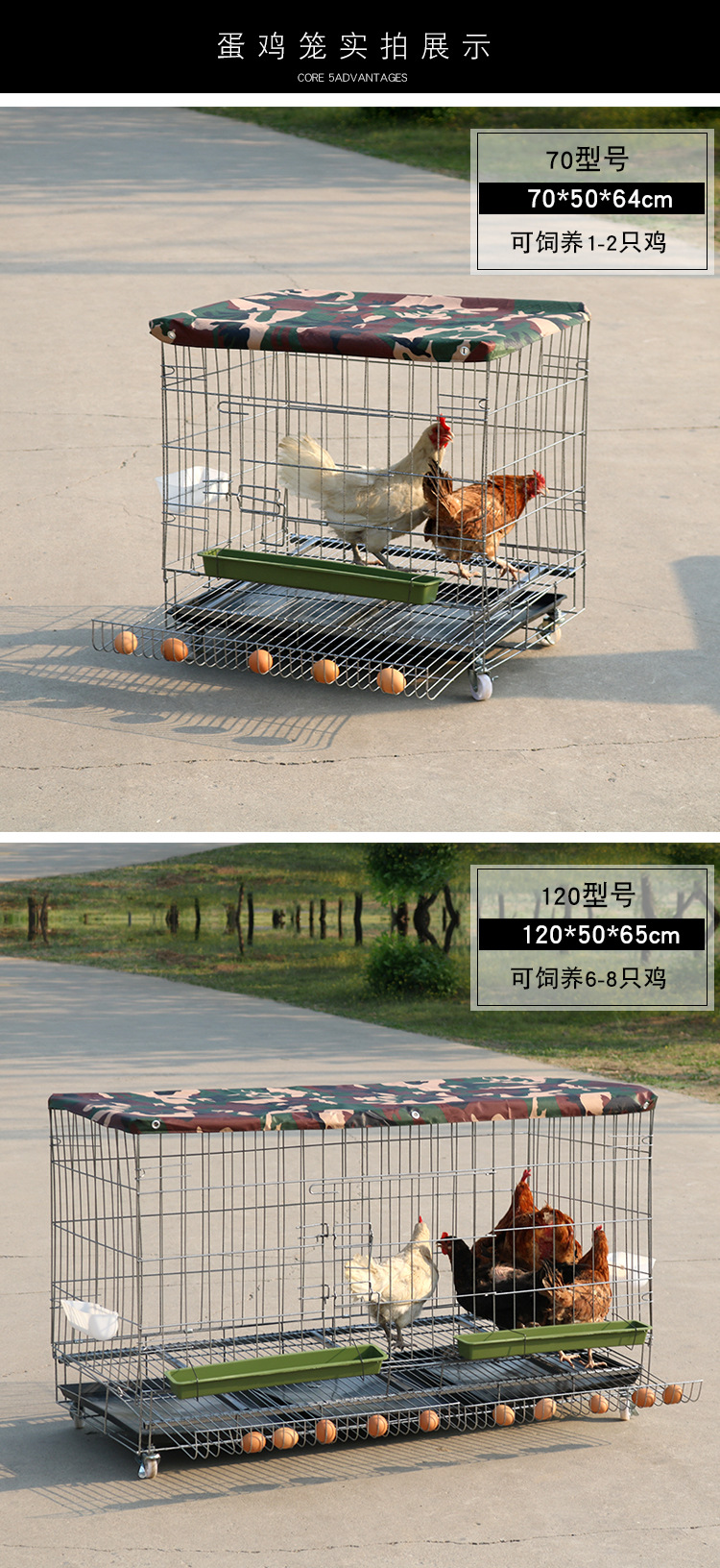 鸭笼子养殖笼 一体自动下蛋鸡笼家用户外大号特价养殖场用铁养鸡