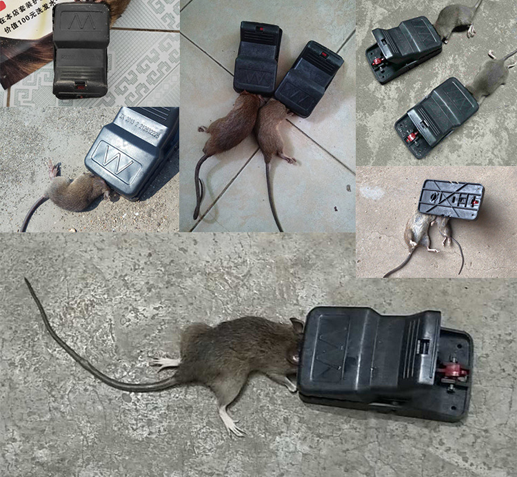 老鼠夹塑料家用捕鼠器灭鼠夹摆地摊神器扑鼠笼捉抓补老鼠夹子厂家