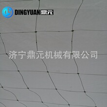 工厂定制 幅宽定制 网孔定制 双向拉伸网 防鸟网防鹿网 量大优惠