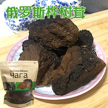 白桦树茸俄罗斯桦树泪  桦褐孔菌中切块密度高带黑皮500克/包批发