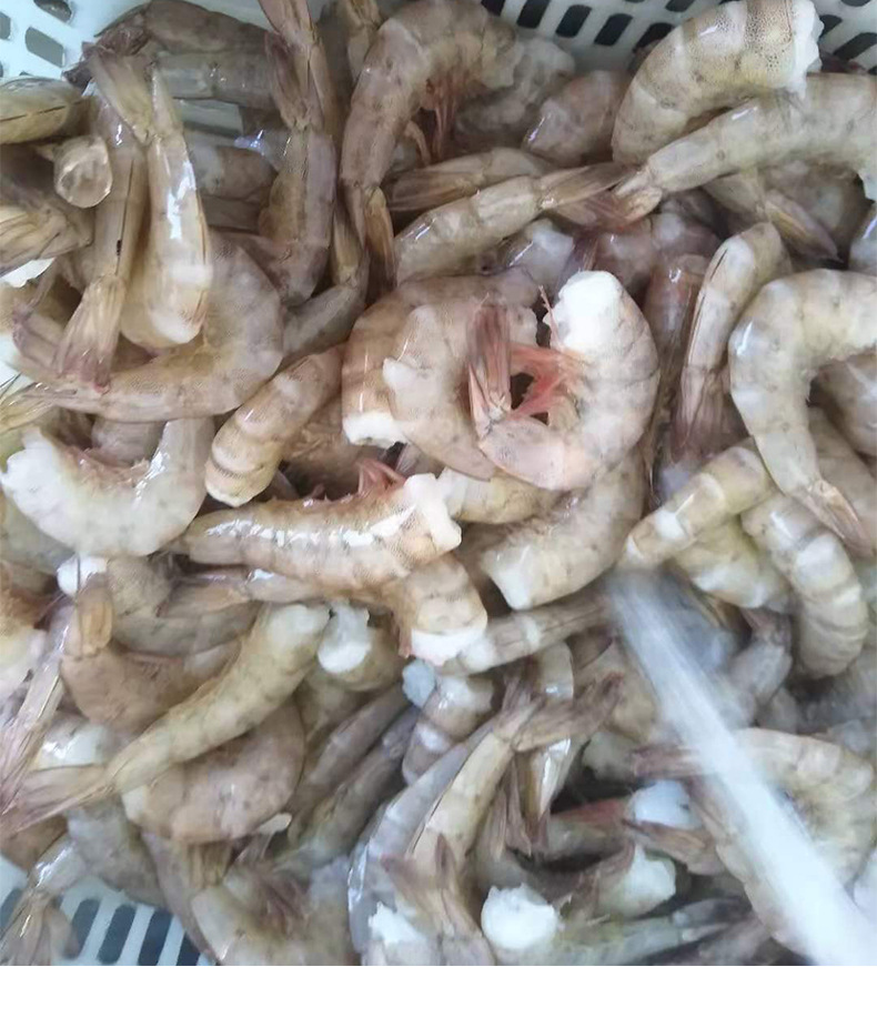 批发冻南美去头白虾40斤箱新鲜水产海鲜火锅食材海捕大虾冷冻对虾