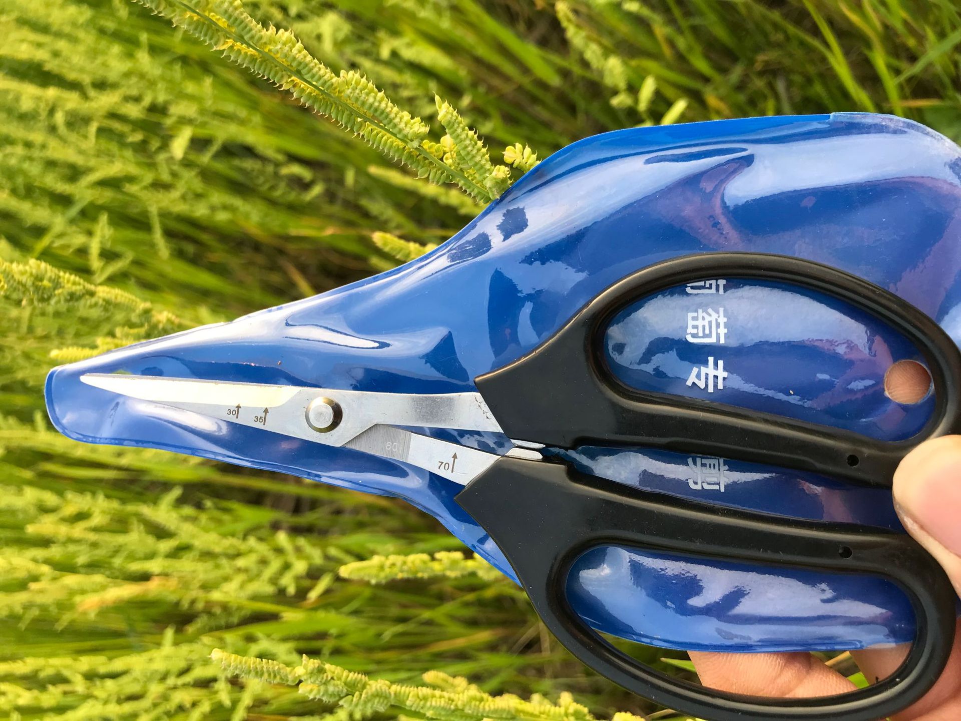 汪吾铨葡萄翘头剪刀 不锈钢修果剪稀果剪蔬果剪葡萄剪刀