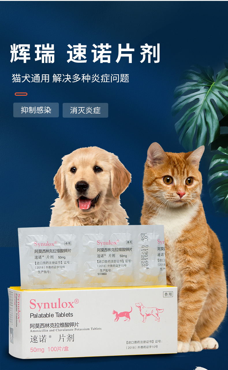 辉瑞速诺50mg进口药品宠物感冒药猫鼻支药猫咪消炎药针剂兽用药品