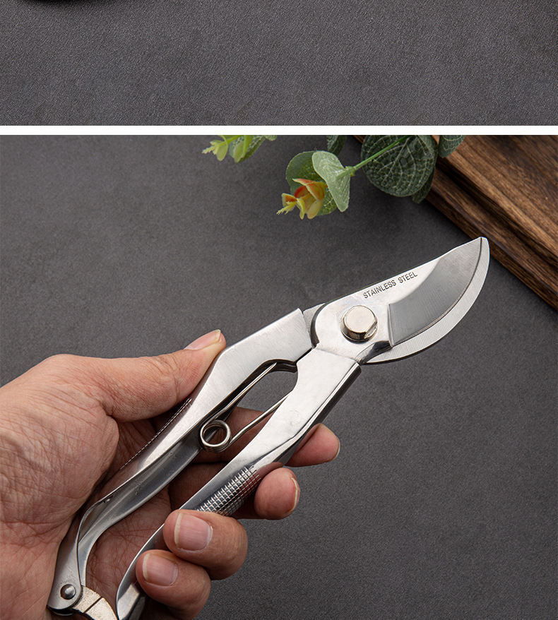 锋利葡萄修剪树枝剪刀园艺工具植物修花枝剪园林工具 强力果枝剪