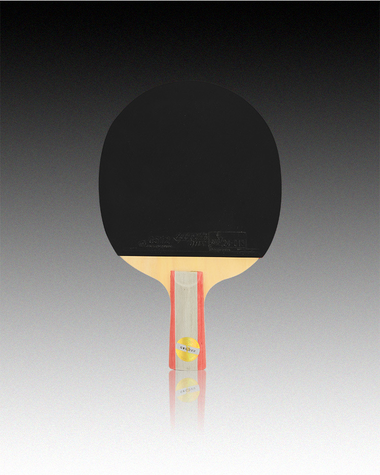 正品dhs/红双喜一星1002横拍1006直拍双面反胶乒乓球拍1003/1007