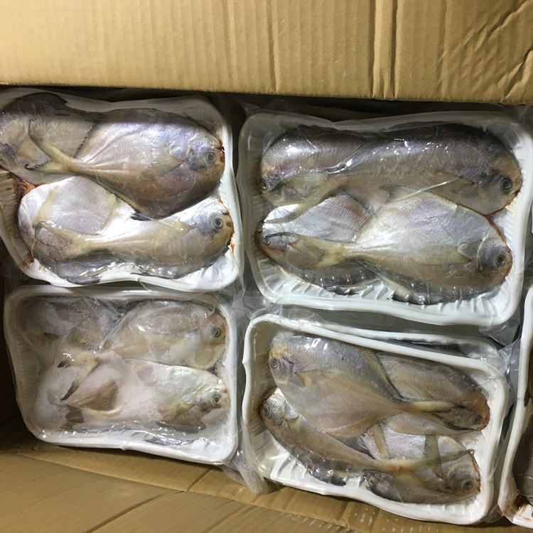 冻品新鲜冷冻一斤托盘装四条一斤银鲳鱼白鲳鱼小包装代加工威海