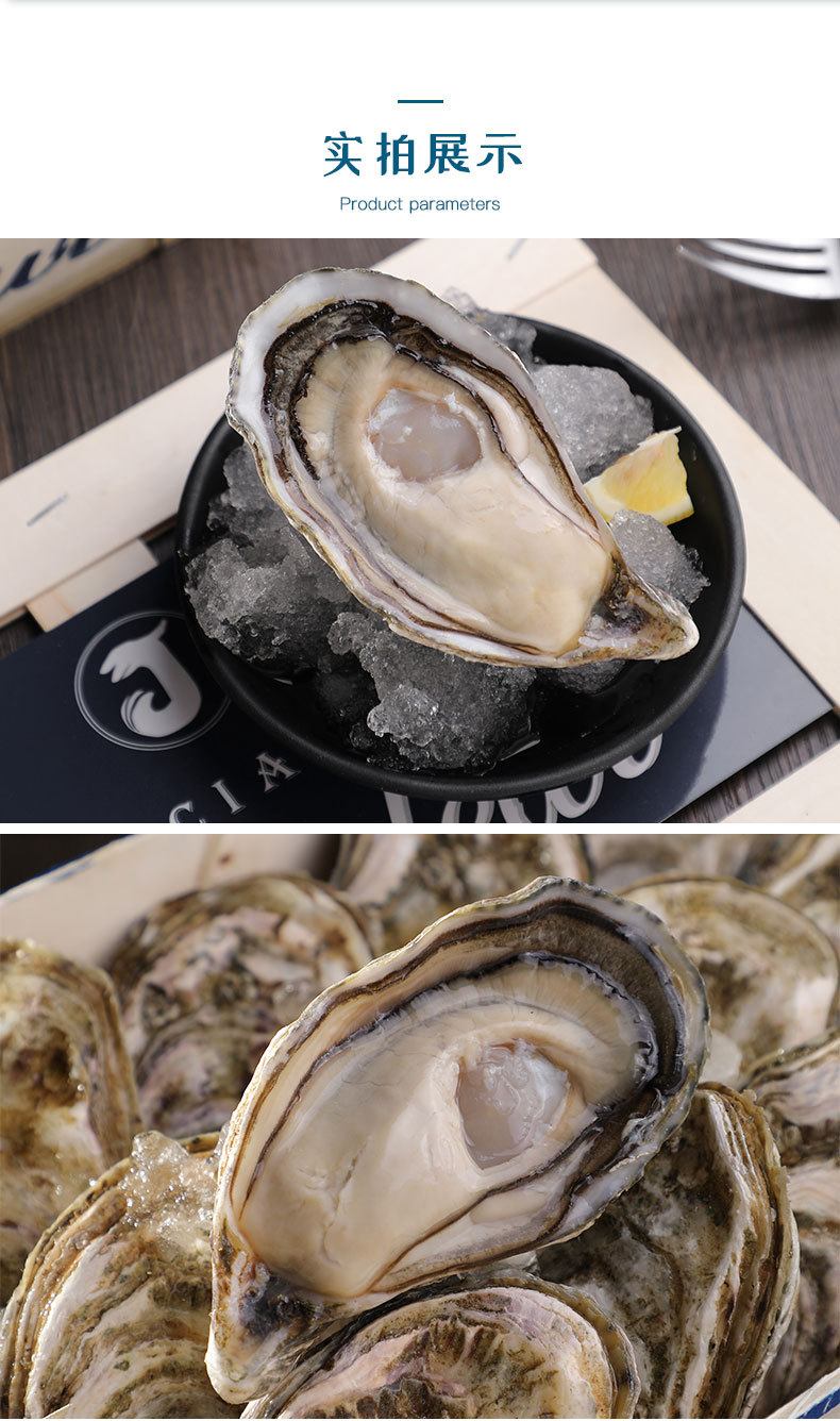 法国进口吉拉多生蚝鲜活12粒/箱 生蚝批发进口生蚝 酒店蚝吧供应