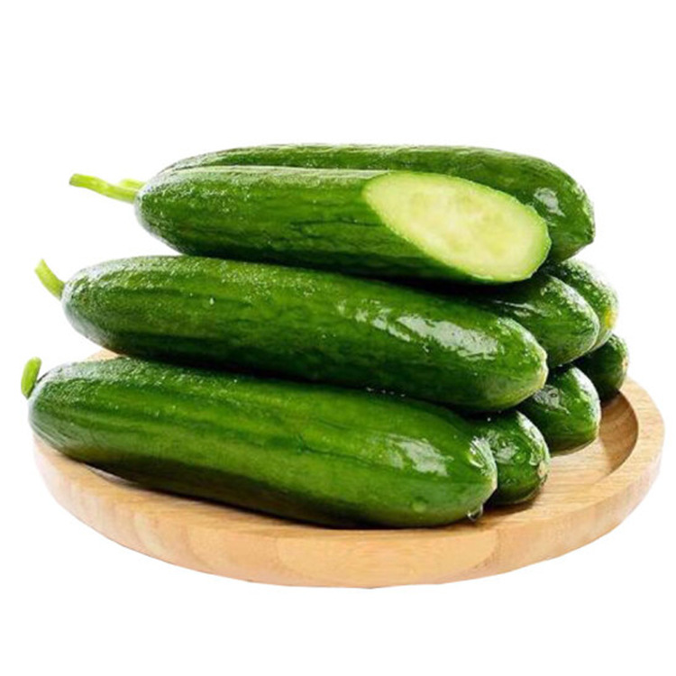 水果黄瓜新鲜包邮5斤 小黄瓜青瓜时令蔬菜旱生吃脆嫩清甜整箱包邮