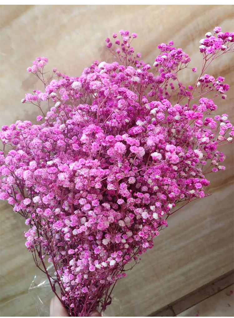 永生花厂家批发 永生满天星 干花满天星 diy家居装饰摆设批发