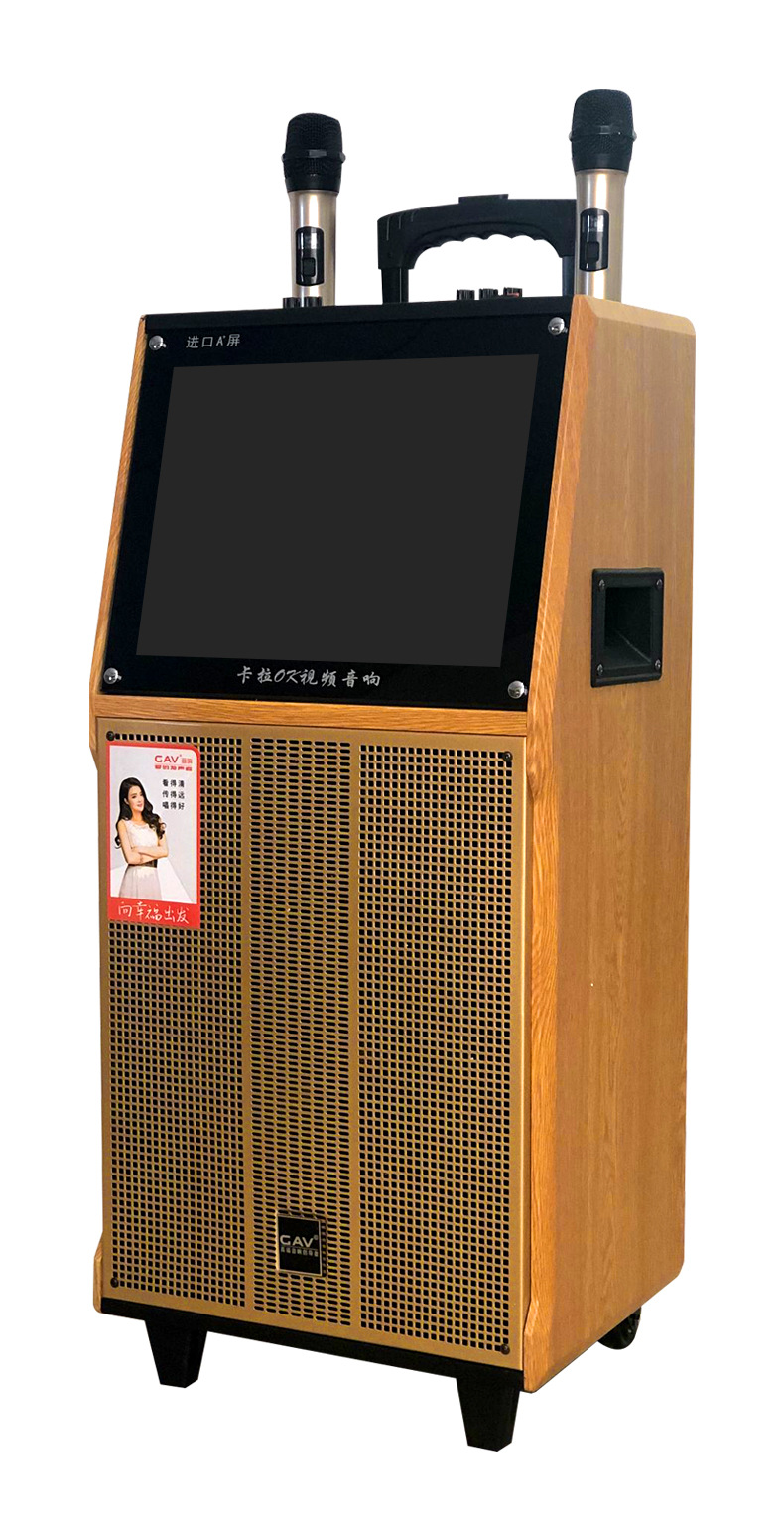 gav k155广场舞视频音响带无线话筒 拉杆户外家用k歌蓝牙唱歌跳舞
