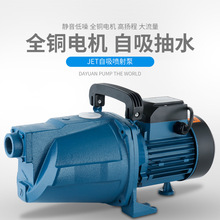 浙江大元供应喷射泵全铜电机自吸抽水JET自吸喷射泵大流量喷射泵