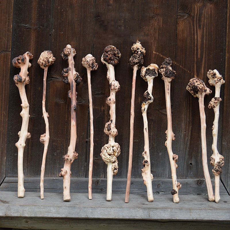 云南黑果木树瘤背捶天然黑果木捶子旅游景区庙会健身捶背批发