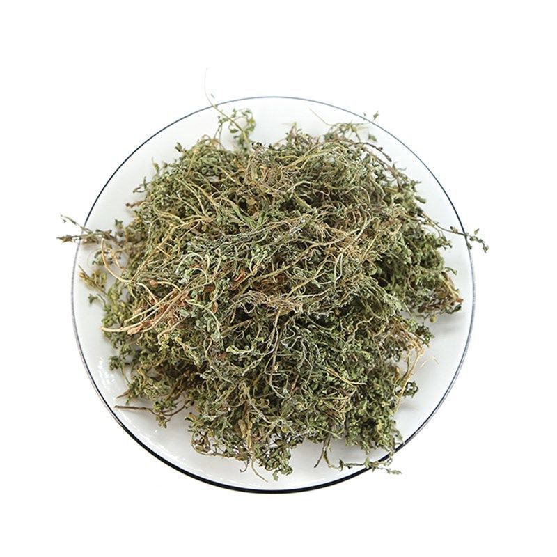 鹅不食草 鹅不食草 鹅不食新鲜通草农家自晒干净包邮