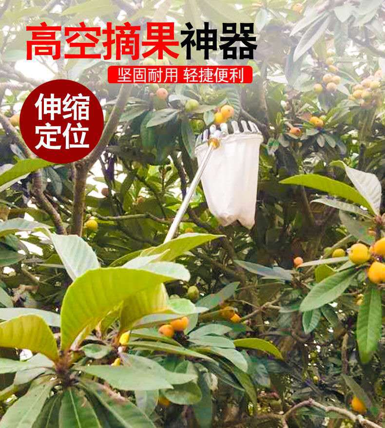 高空摘果器摘枇杷枣柿子苹果杨梅采摘神器勾果器多功能采果伸缩杆