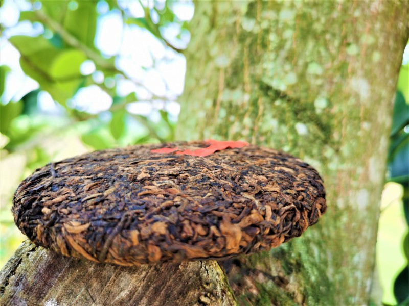 中宏印老班章金芽熟茶 80克普洱茶饼 云南普洱饼茶厂家直销定制