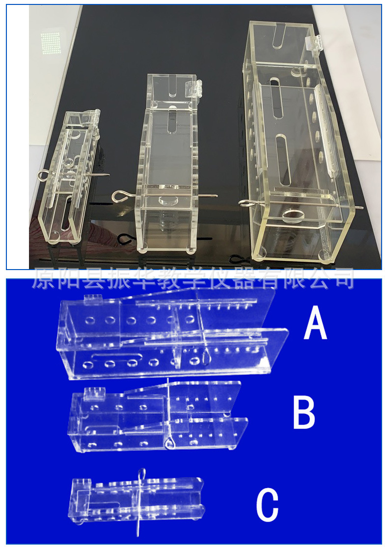 方型固定器 大鼠固定器 固定器 大白鼠固定器老鼠固定器 现货