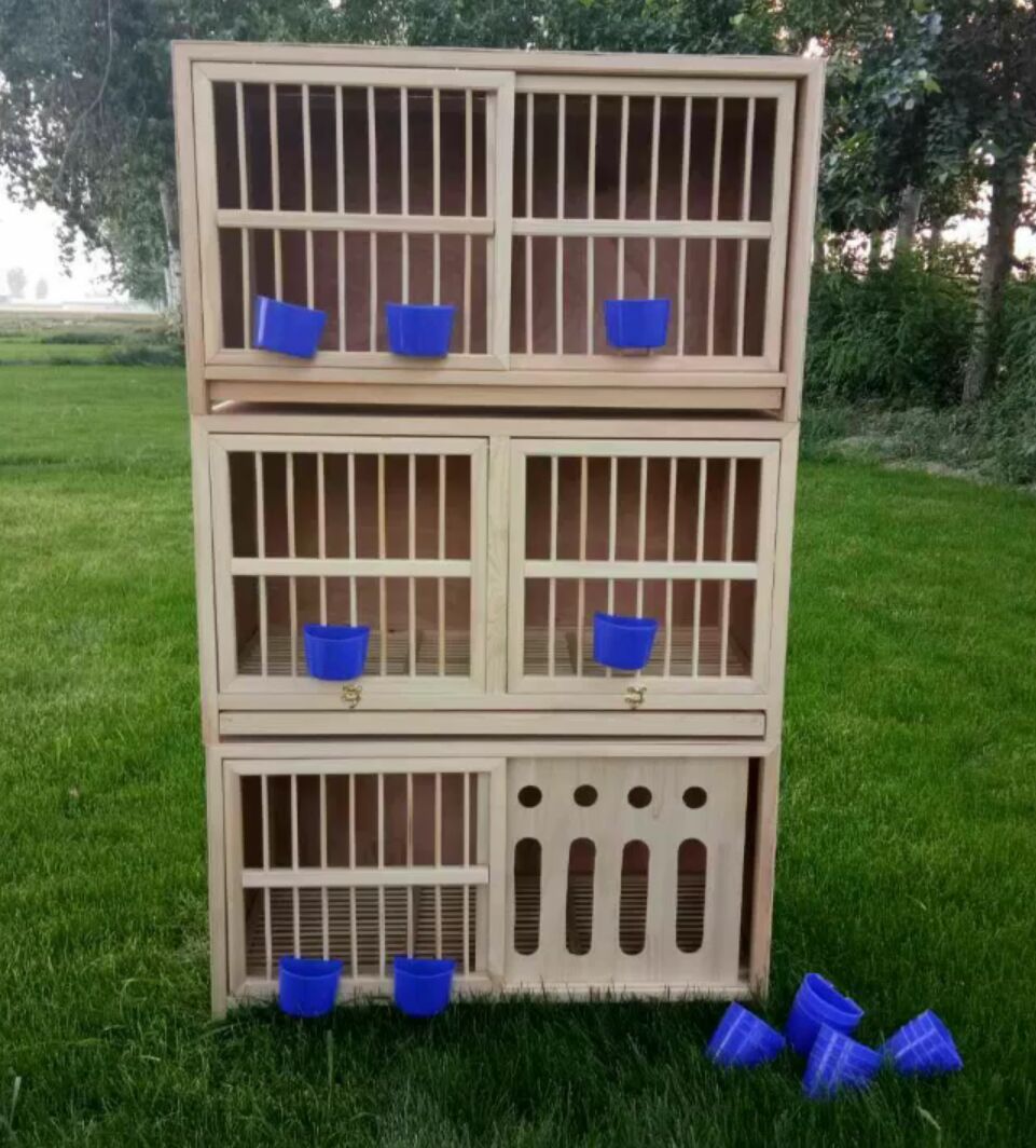 鸽具/鸽子巢箱/信鸽配对笼/赛鸽巢箱/鸽子配对笼/鸽子用品/包邮