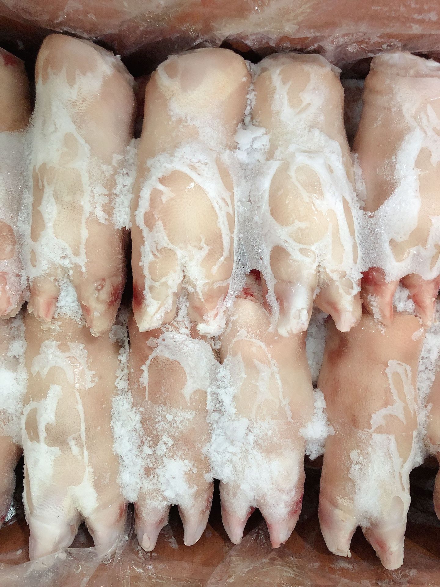 厂家直供鲜冻生猪脚带筋 冷冻猪脚整箱 冷冻猪蹄 猪手猪脚 20斤