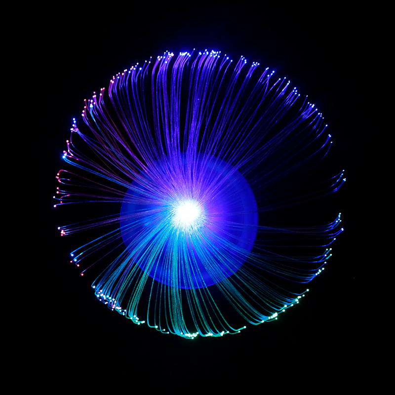 New LED Optical Fiber Outdoor Indoor Starry Sky Colorful Flash Optic Fiber Flower Automatic Color Changing Glowing Decorative Lights