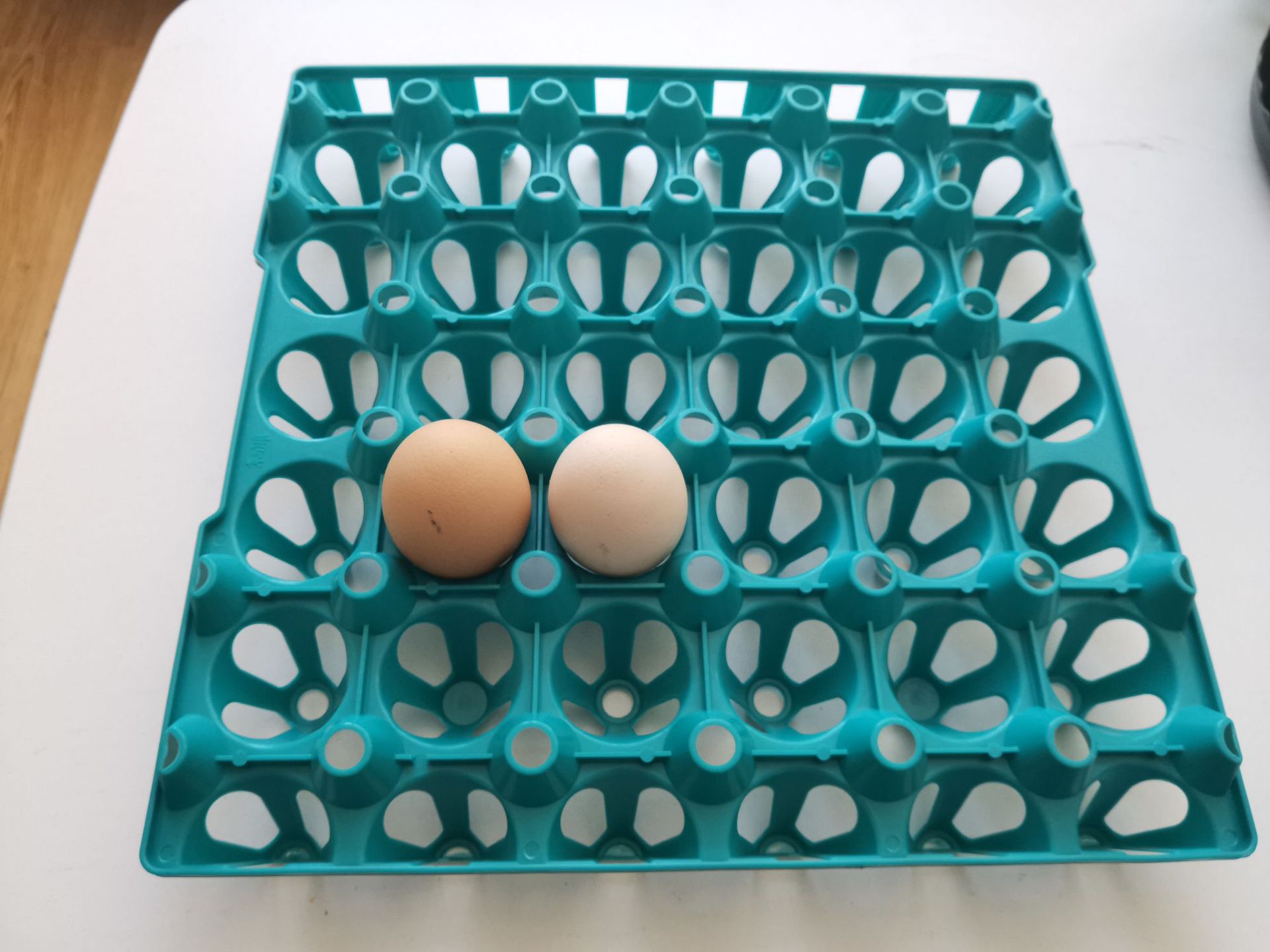 厂家定制彩色30枚鸡蛋托盘@塑料蛋托@孵化蛋托@超市周转鸡蛋托盘