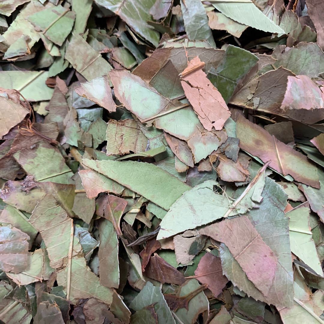 批发无硫新货中药材石楠叶石南叶产地货源量大价优一件代发